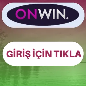 Onwin giriş